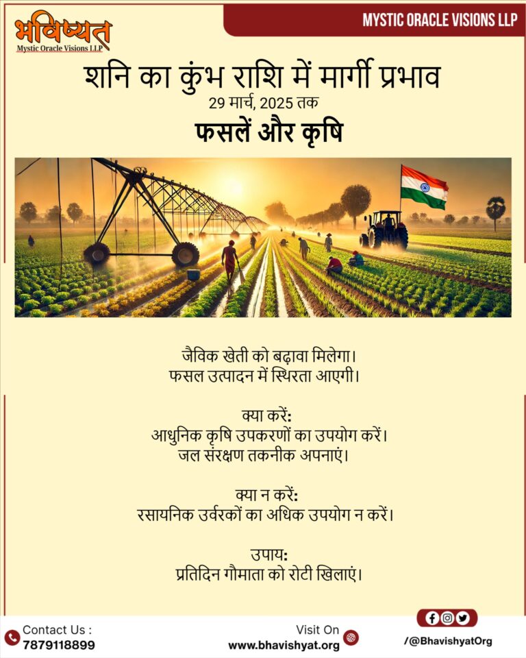 brands-live-image-1731834400060